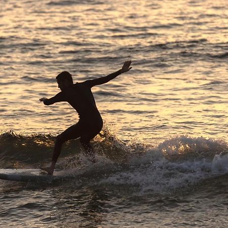 Village Vacances La Foret Des Landes Tarnos Zewnętrze zdjęcie