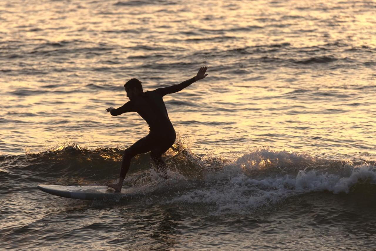 Village Vacances La Foret Des Landes Tarnos Zewnętrze zdjęcie