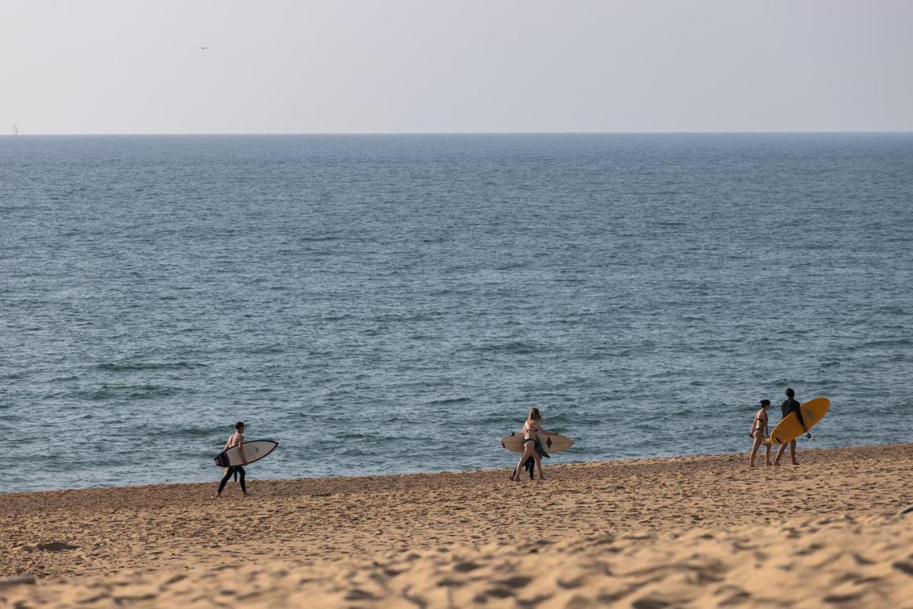 Village Vacances La Foret Des Landes Tarnos Zewnętrze zdjęcie