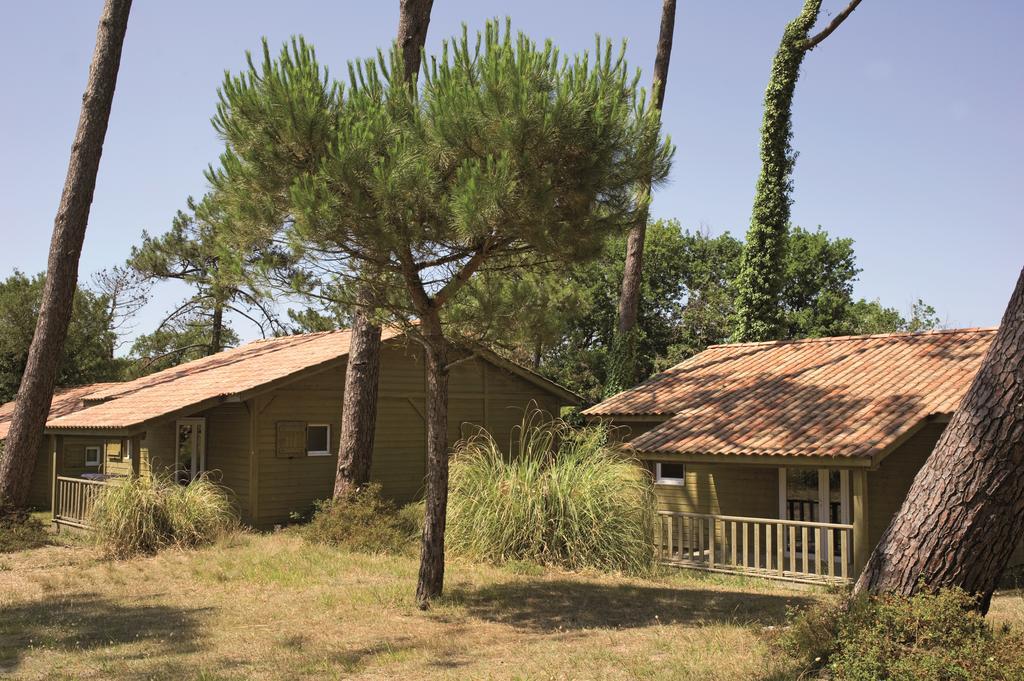 Village Vacances La Foret Des Landes Tarnos Zewnętrze zdjęcie